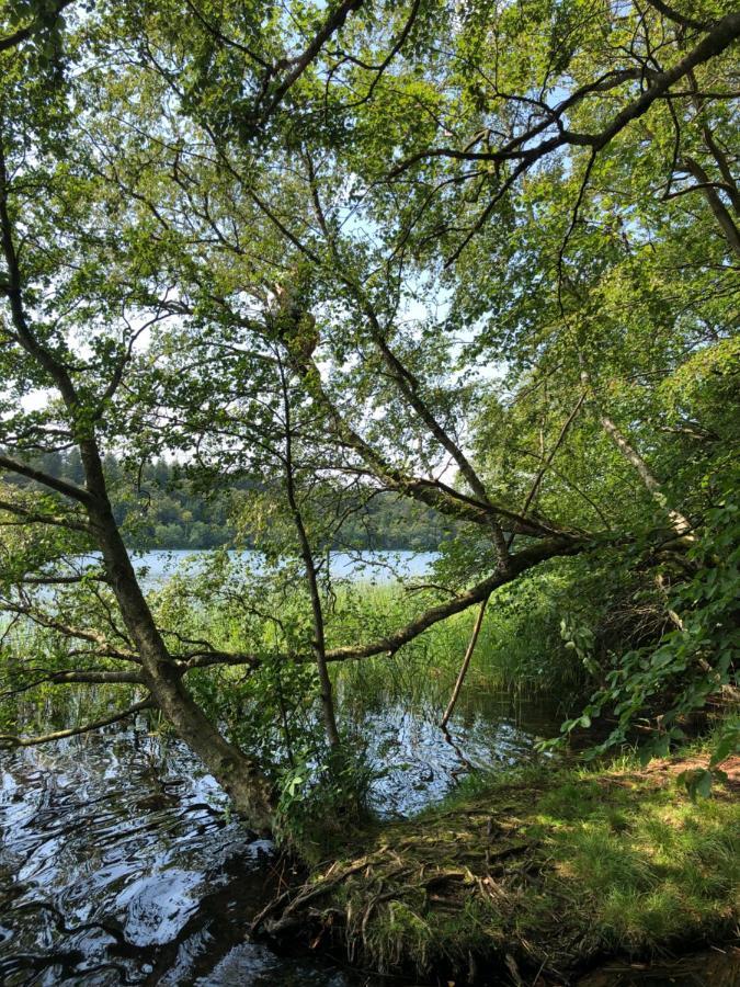 Borgdal Bed & Breakfast Silkeborg Eksteriør bilde